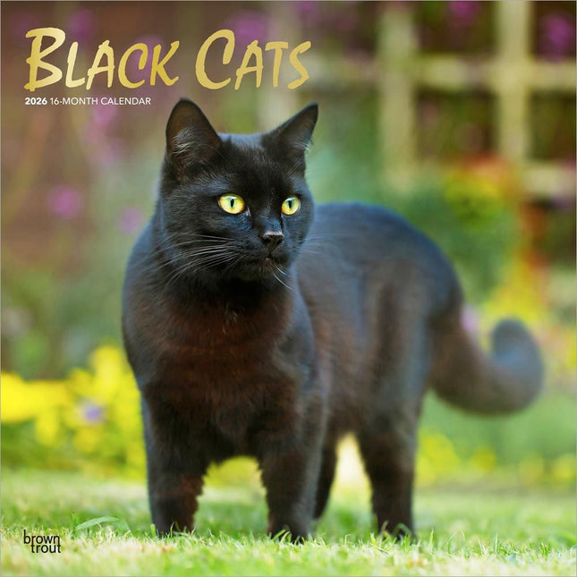 Browntrout Zwarte Katten Kalender 2026