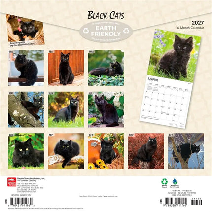 Browntrout Zwarte Katten Kalender 2027