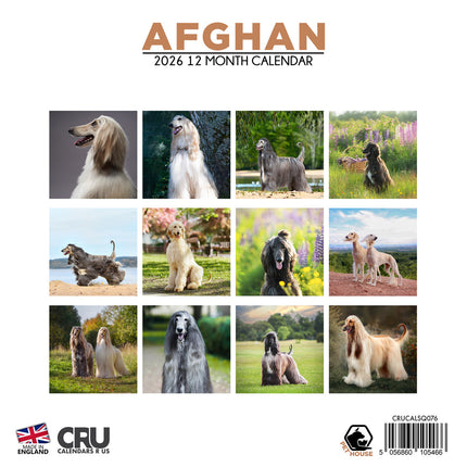 CalendarsRUs Afghaanse Windhond Kalender 2026