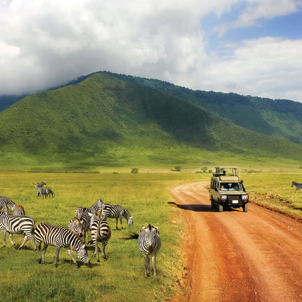 CalendarsRUs Afrika Kalender 2026