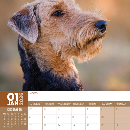 CalendarsRUs Airedale Terrier Kalender 2026 A3