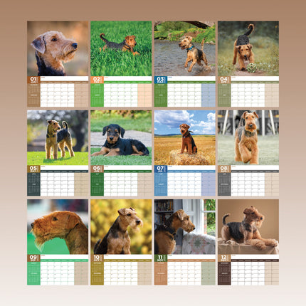CalendarsRUs Airedale Terrier Kalender 2026 A3