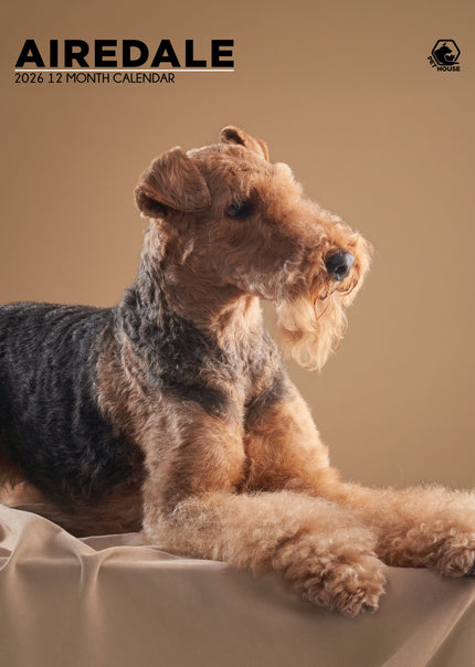 CalendarsRUs Airedale Terrier Kalender 2026 A3