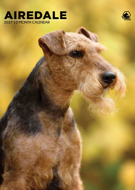 CalendarsRUs Airedale Terrier Kalender 2027 A3