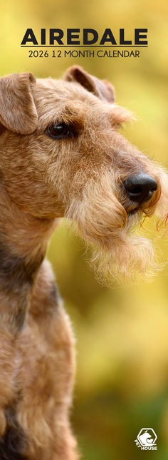CalendarsRUs Airedale Terrier Slimline Kalender 2026
