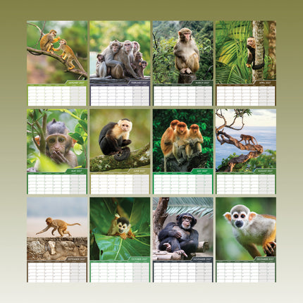 CalendarsRUs Apen A3 Kalender 2027