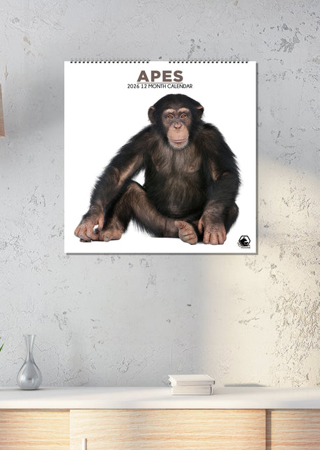 CalendarsRUs Apen Kalender 2026