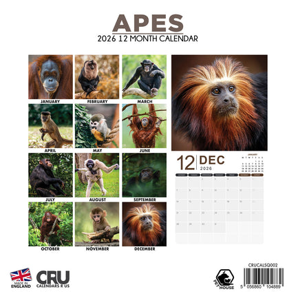 CalendarsRUs Apen Kalender 2026