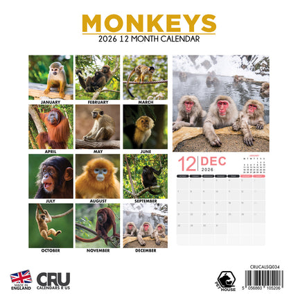 CalendarsRUs Apen Kalender 2026