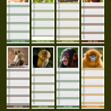 CalendarsRUs Apen Slimline Kalender 2026