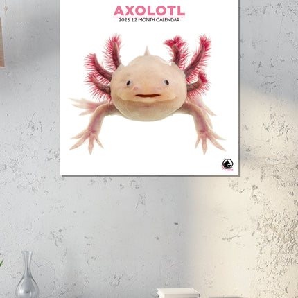 CalendarsRUs Axolotl Kalender 2026