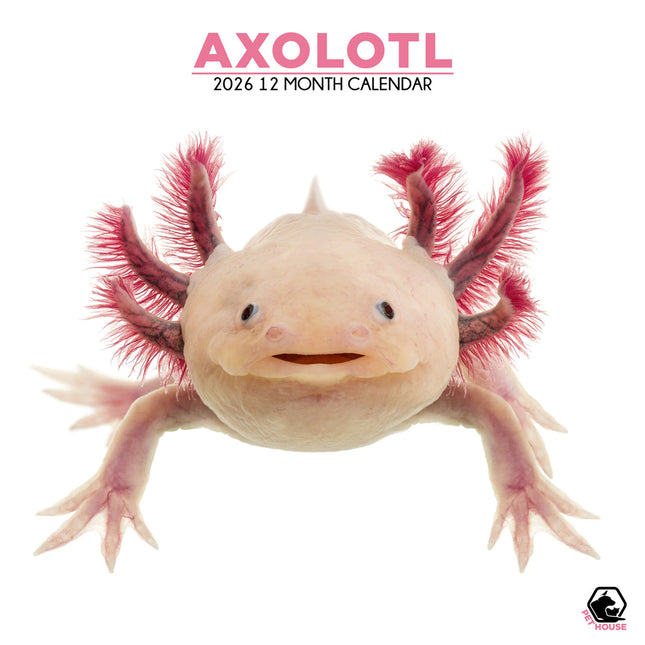 CalendarsRUs Axolotl Kalender 2026