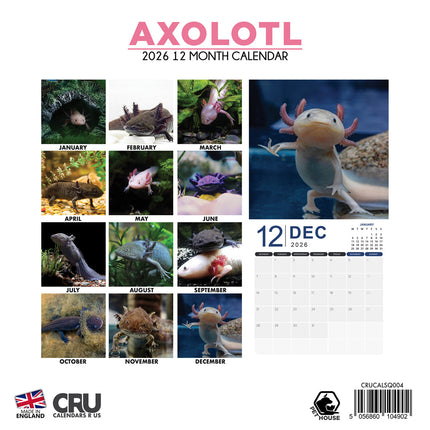 CalendarsRUs Axolotl Kalender 2026