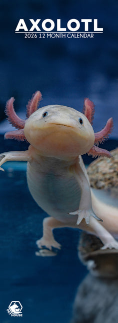CalendarsRUs Axolotl Slimline Kalender 2026