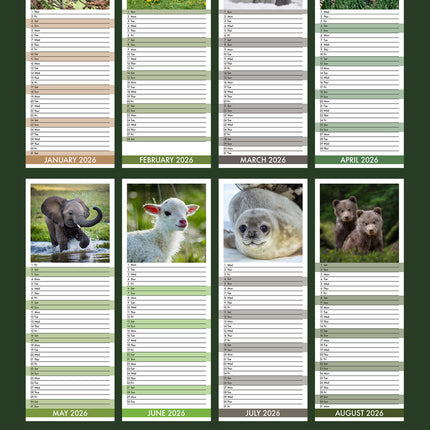 CalendarsRUs Baby Dieren Slimline Kalender 2026
