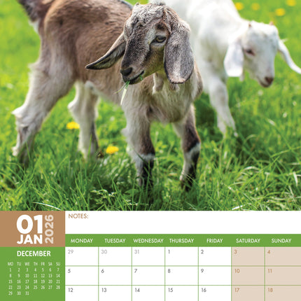 CalendarsRUs Baby Geiten A3 Kalender 2026