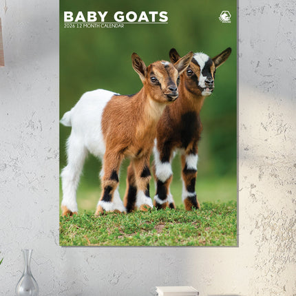 CalendarsRUs Baby Geiten A3 Kalender 2026