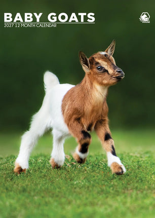 CalendarsRUs Baby Geiten A3 Kalender 2027
