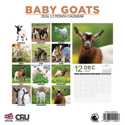 CalendarsRUs Baby Geiten Kalender 2026