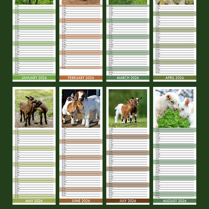 CalendarsRUs Baby Geitjes Slimline Kalender 2026