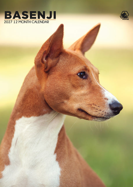 CalendarsRUs Basenji A3 Kalender 2027