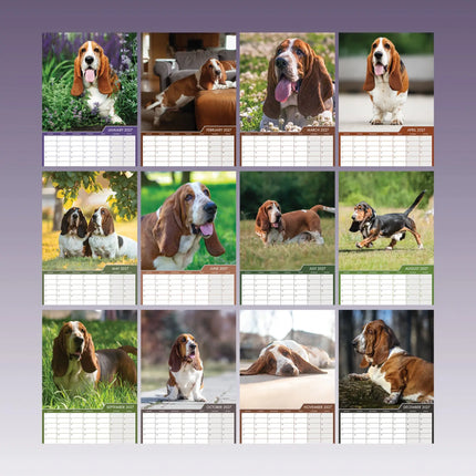 CalendarsRUs Basset Hound A3 Kalender 2027