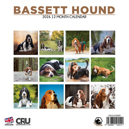 CalendarsRUs Basset Hound Kalender 2027