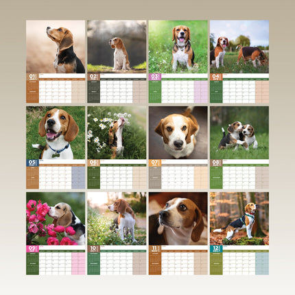 CalendarsRUs Beagle A3 Kalender 2027