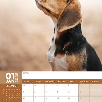 CalendarsRUs Beagle A3 Kalender 2027
