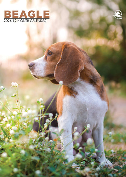 CalendarsRUs Beagle A3 Kalender 2027