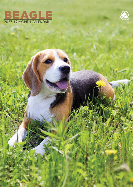 CalendarsRUs Beagle A3 Kalender 2027