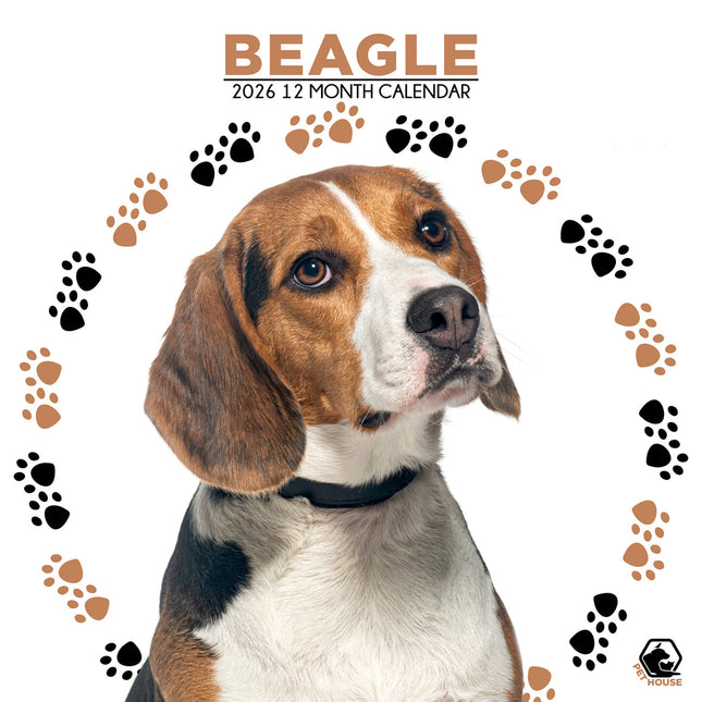 CalendarsRUs Beagle Kalender 2026