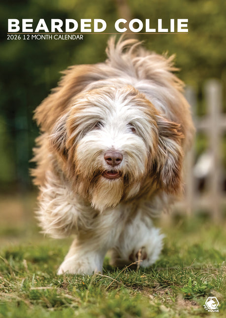 CalendarsRUs Bearded Collie A3 Kalender 2027