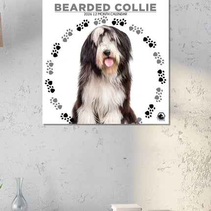 CalendarsRUs Bearded Collie Kalender 2026