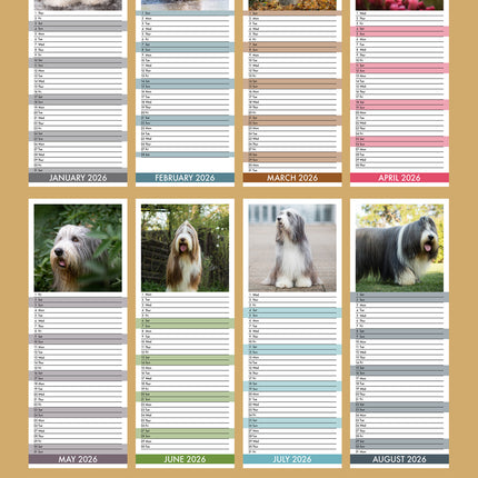 CalendarsRUs Bearded Collie Slimline Kalender 2026
