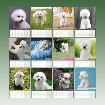 CalendarsRUs Bichon Frise A3 Kalender 2027