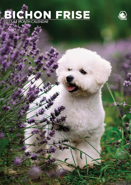 CalendarsRUs Bichon Frise A3 Kalender 2027
