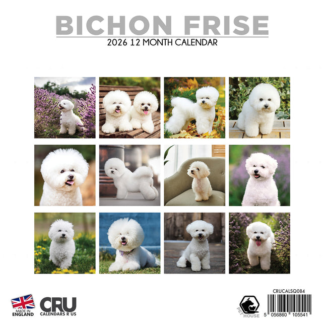 CalendarsRUs Bichon Frise Kalender 2026