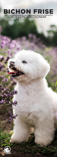 CalendarsRUs Bichon Frise Slimline Kalender 2026