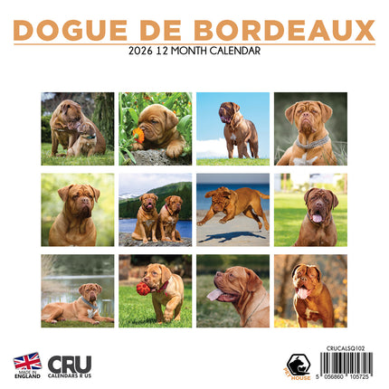 CalendarsRUs Bordeaux Dog Kalender 2026