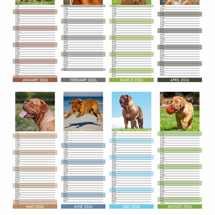 CalendarsRUs Bordeaux Dog Slimline Kalender 2026
