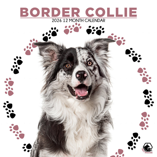 CalendarsRUs Border Collie Kalender 2026