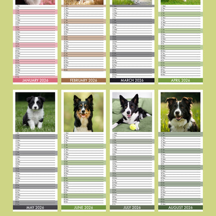 CalendarsRUs Border Collie Slimline Kalender 2026