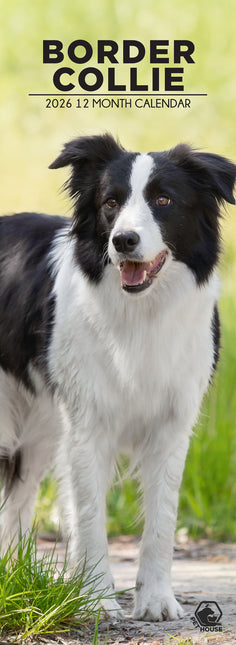 CalendarsRUs Border Collie Slimline Kalender 2026