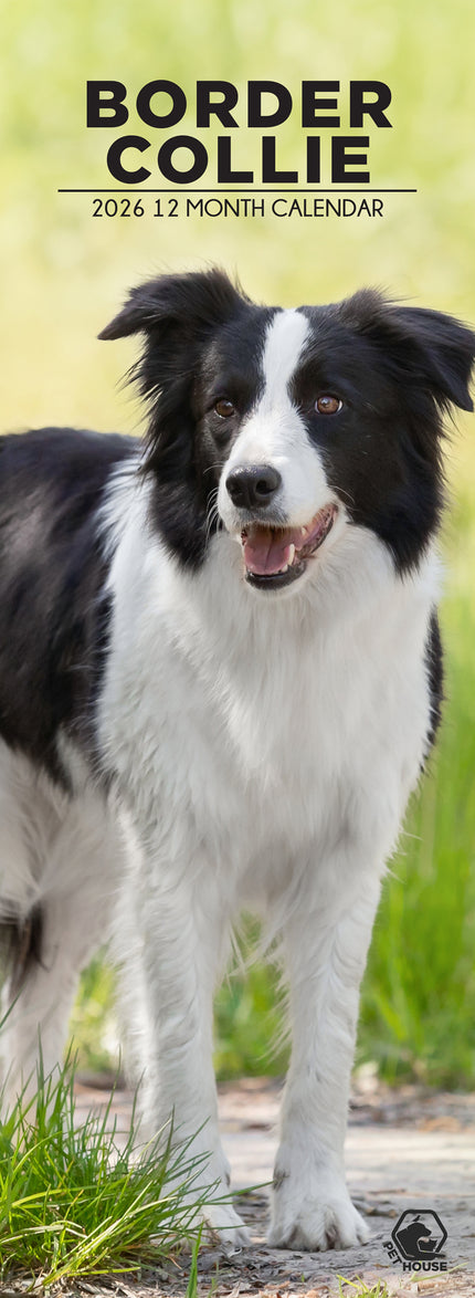 CalendarsRUs Border Collie Slimline Kalender 2026
