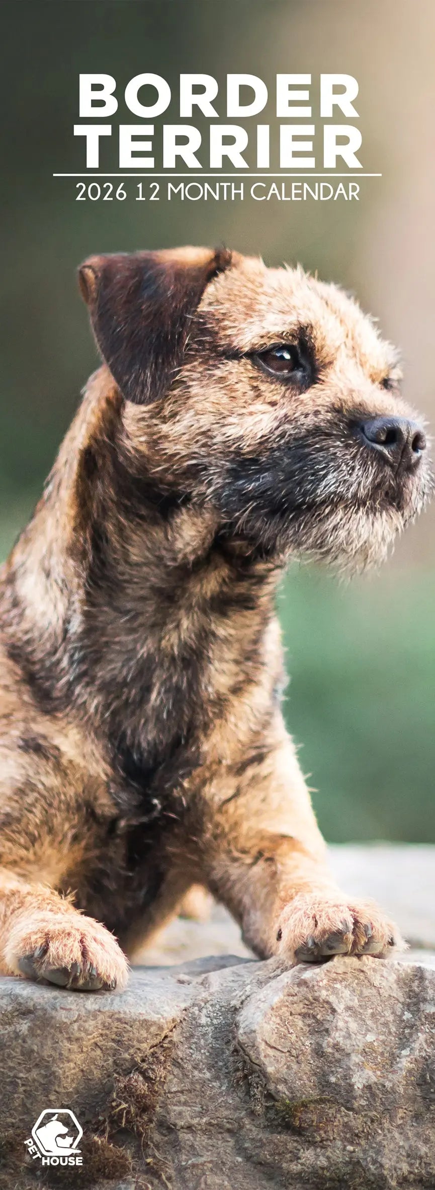 Baker and Bray Border Terrier Calendar 2026, Large Square Baker and Bray Border Terrier Calendar 2026, Large Square