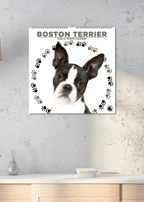 CalendarsRUs Boston Terrier Kalender 2026