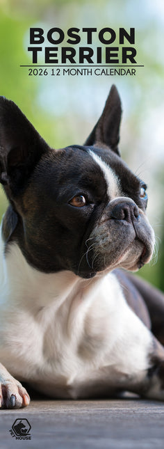 CalendarsRUs Boston Terrier Slimline Kalender 2026