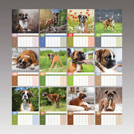 CalendarsRUs Boxer A3 Kalender 2027
