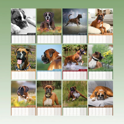 CalendarsRUs Boxer A3 Kalender 2027